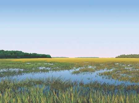 2-KELLY-Cat-Island-450x336.jpeg