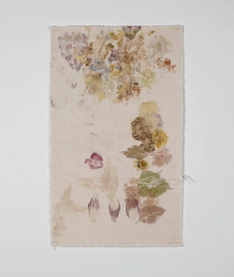 Opening Reception: Nicole Massy