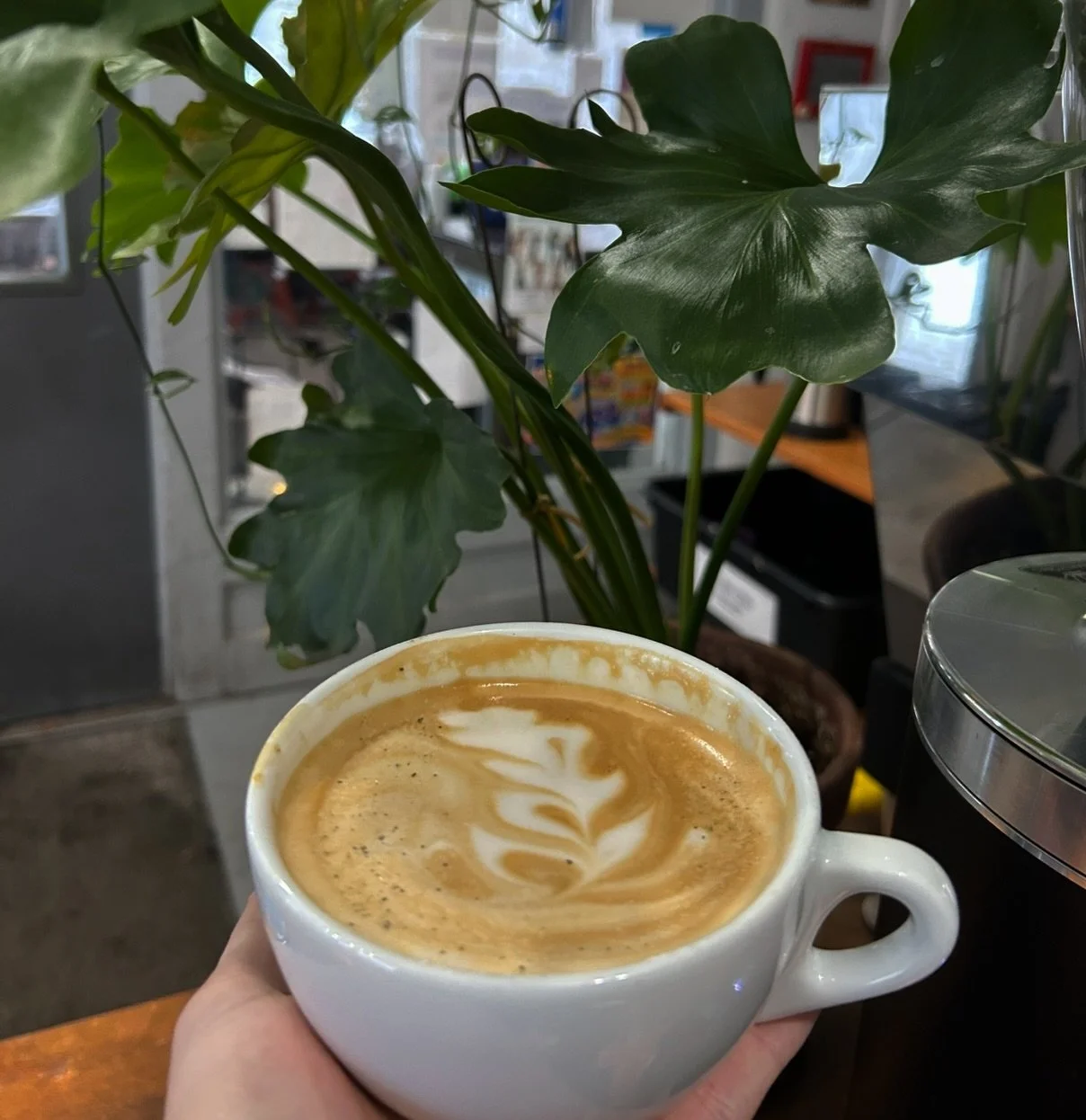 rosemary brown sugar is here until march 1 🌿 come get it while you can &mdash; new specials take over after.. (we got some really fun stuff planned!) 🍓

#clintonville #columbuscoffeeshop