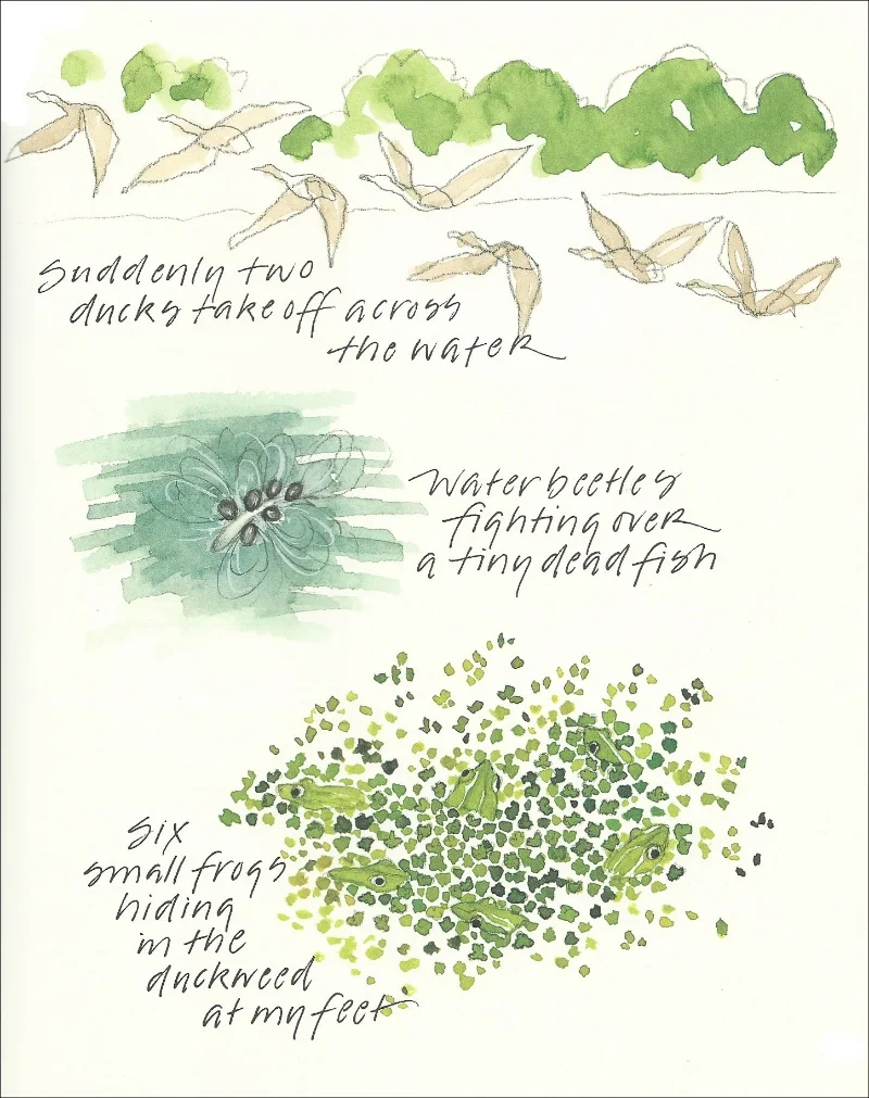 Excerpt from Barbara's book True Nature, p. 41.