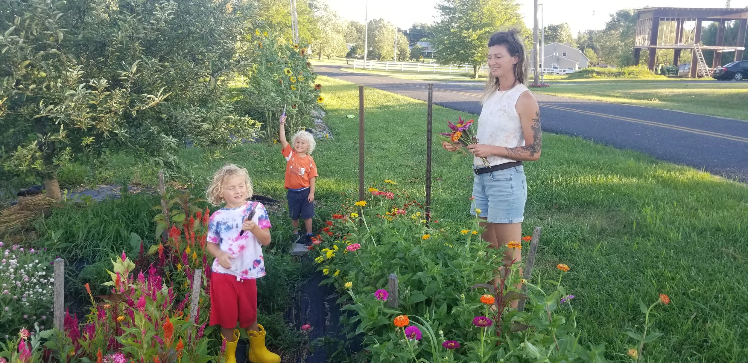 20230729_192233 (2).jpg