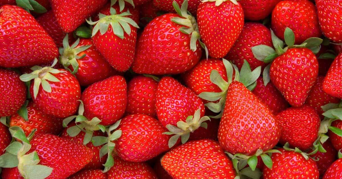 Strawberries-Header-OG.jpg