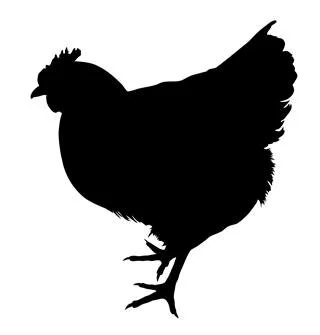Chicken Silhouette.jpeg