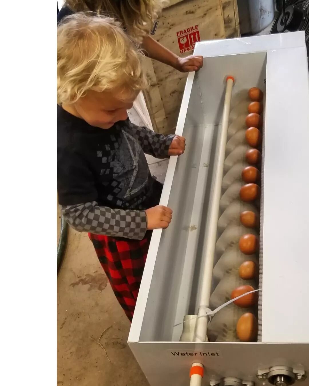 Game changer in the egg washing department.
So much fun for toddlers too.