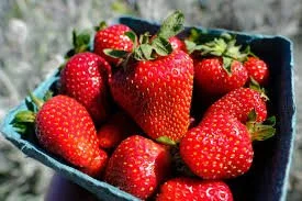 STRAberries.jpeg