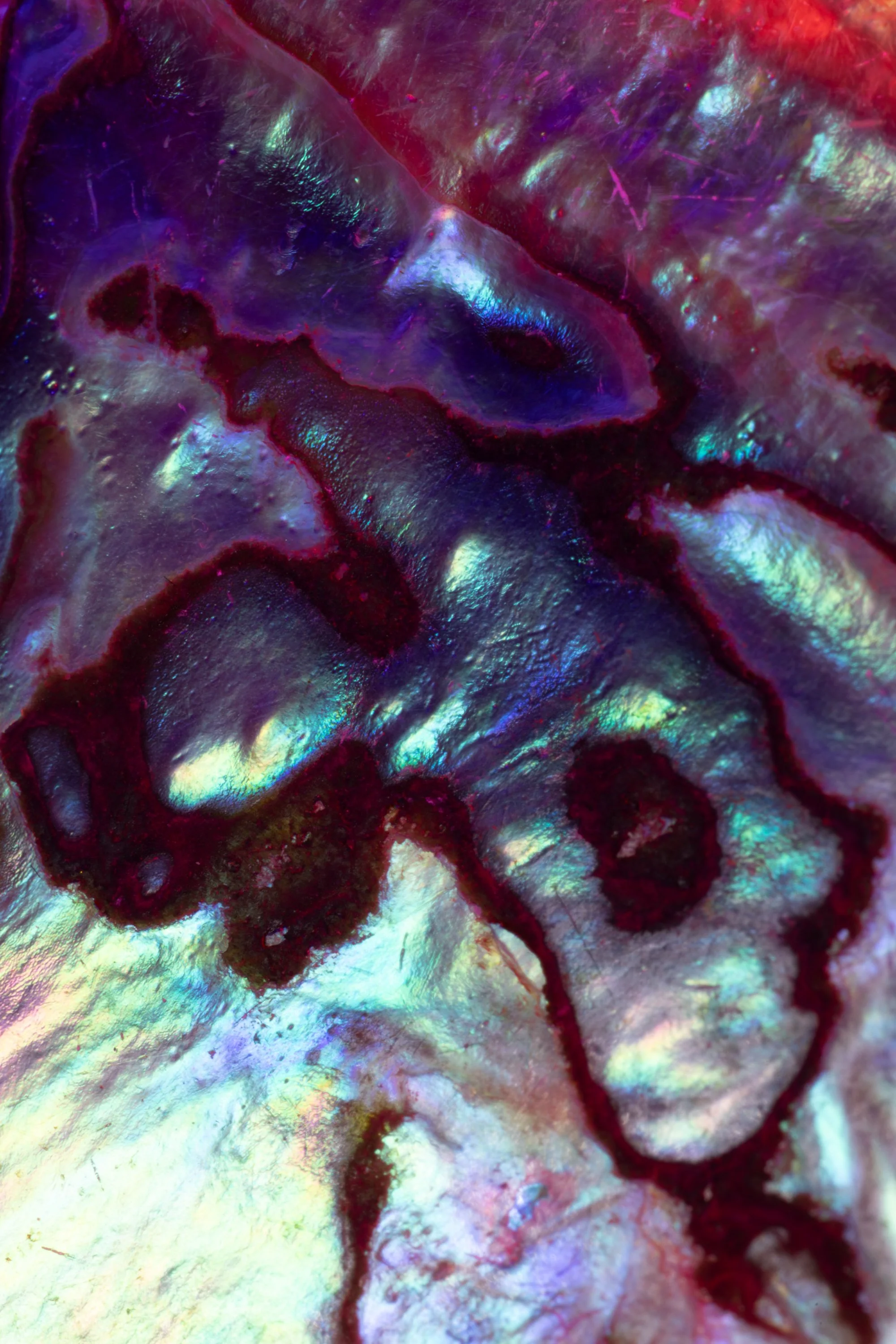 Abstract 16