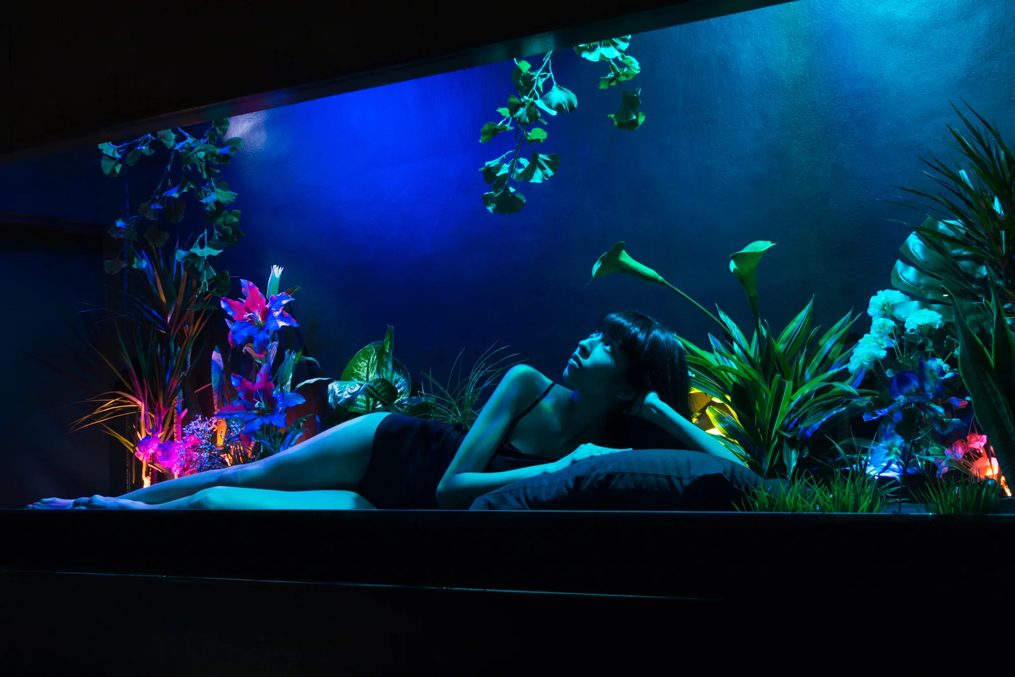 installation for FLORA