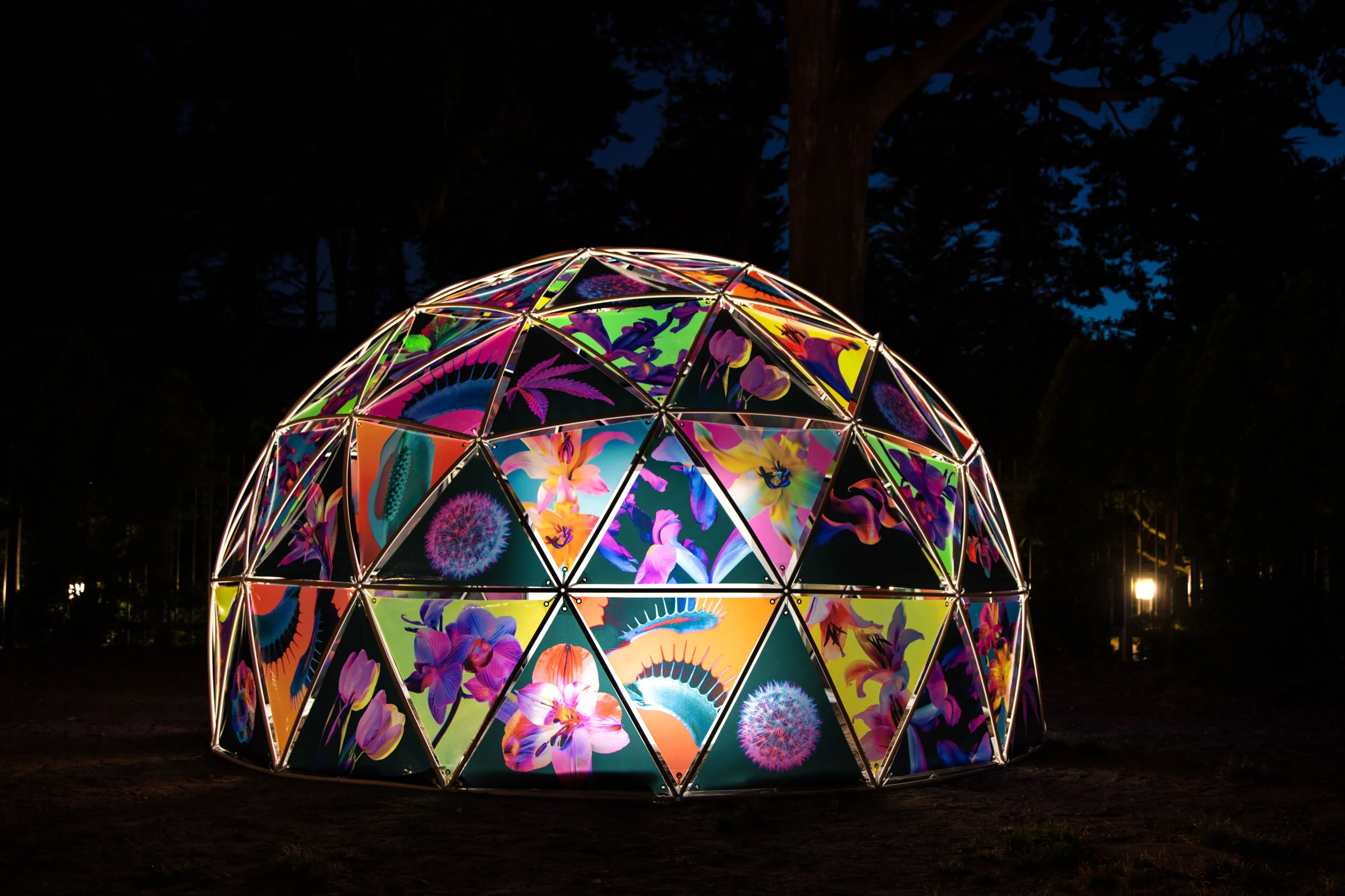 flora_dome_maggie_west_2.jpg