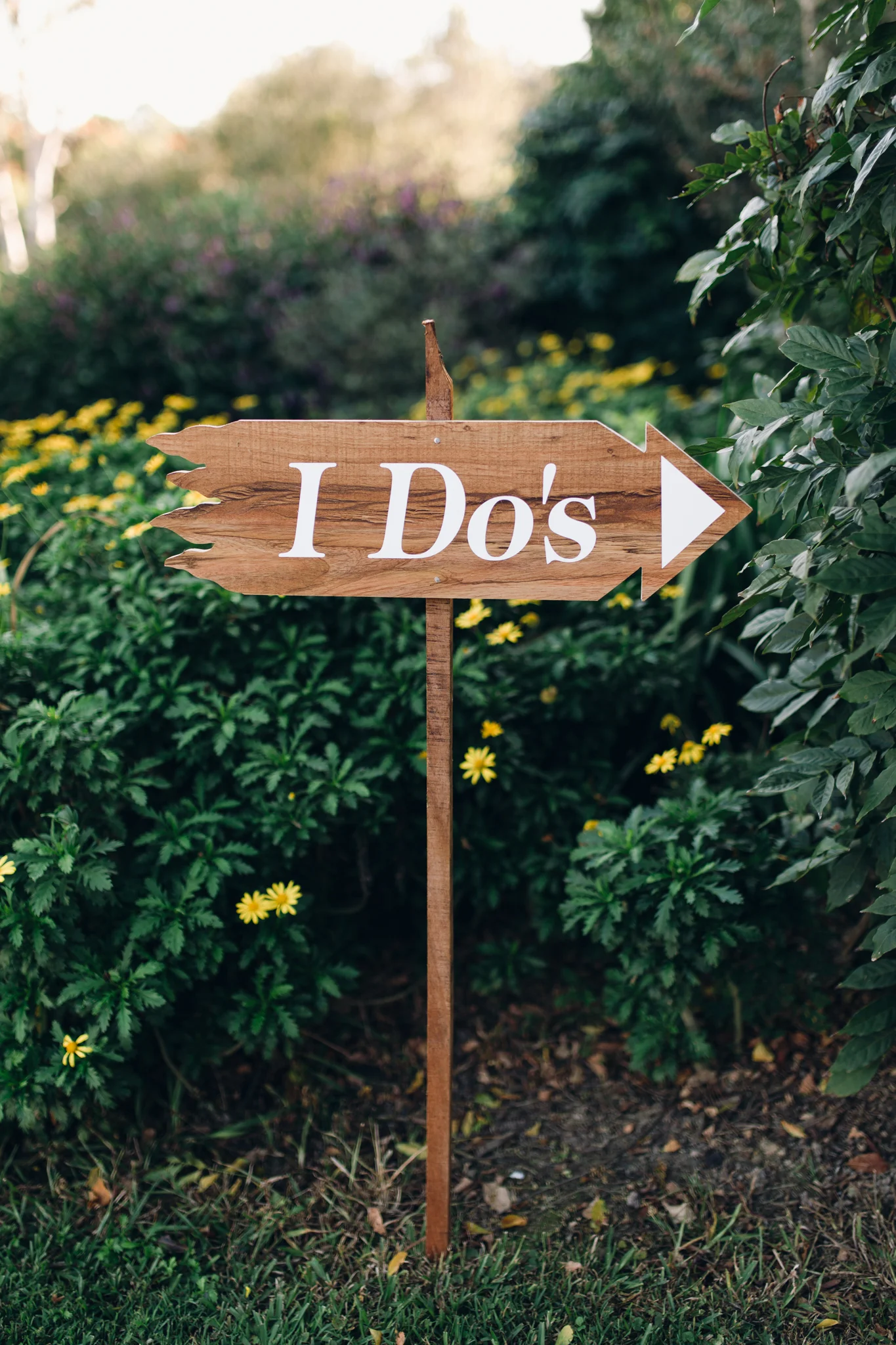 Parkvale Gardens_Emma Nayler_0001.JPG