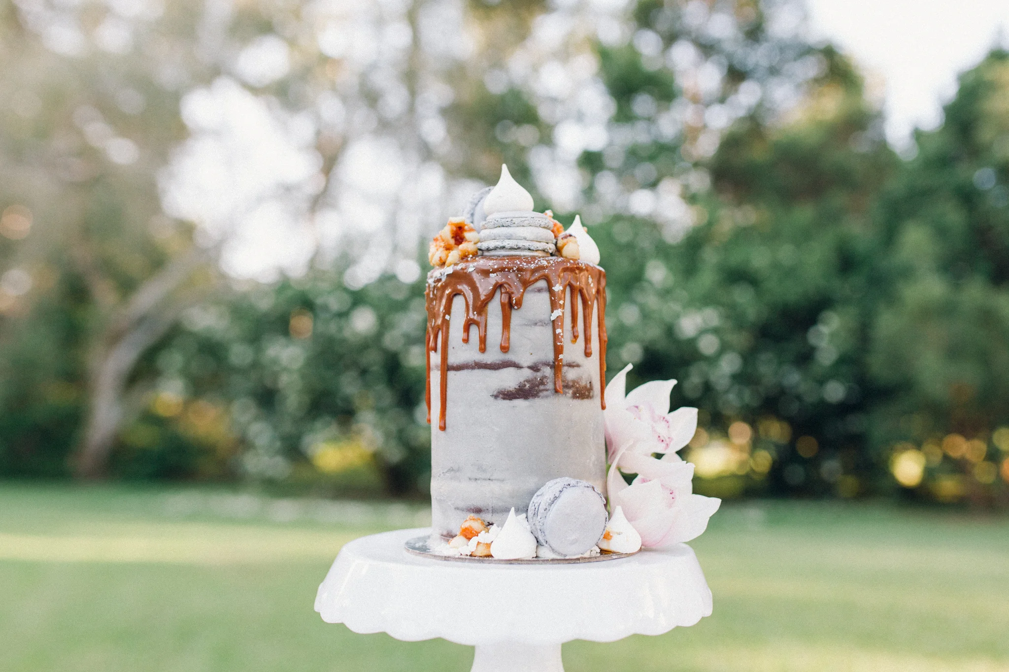 Parkvale Gardens_Emma Nayler_0036.JPG