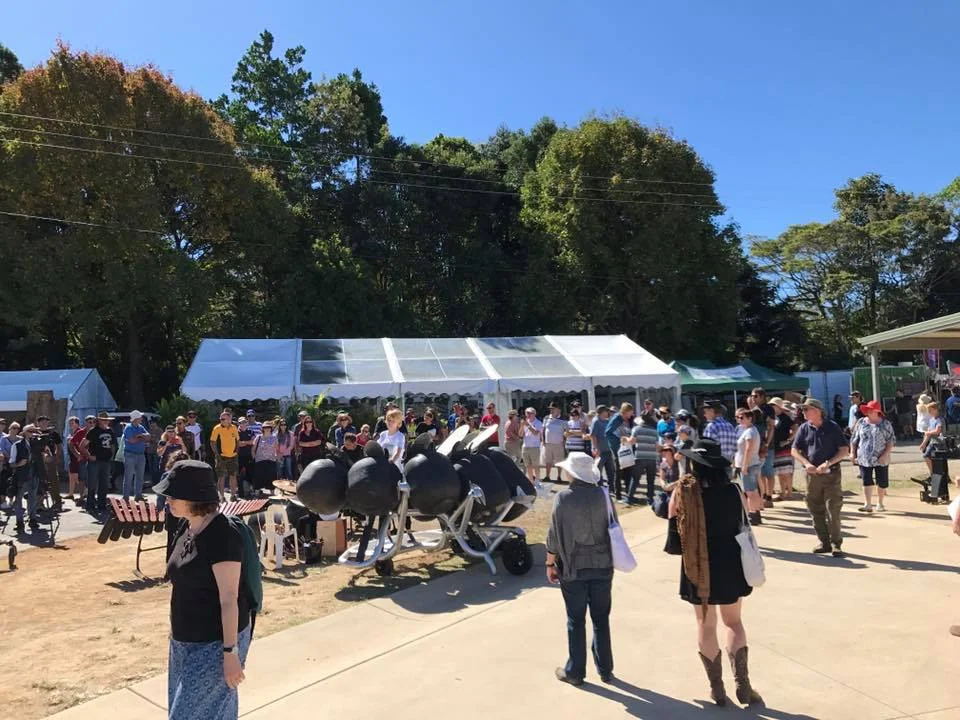 Maleny wood expo 3.jpg