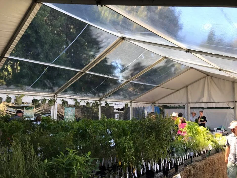 Green house marquee (white with clear sections).jpg