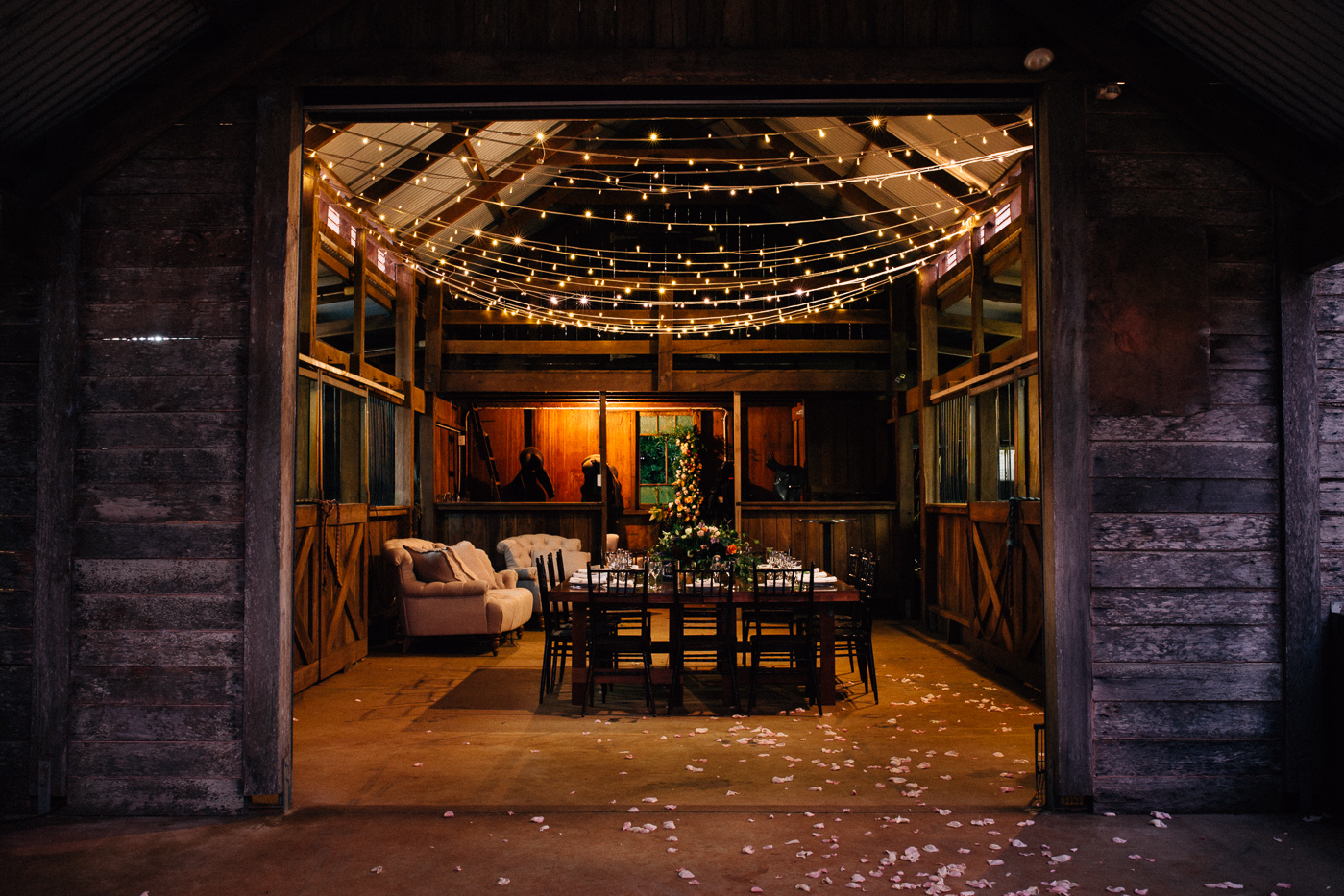 233_BONNIE JENKINS_2567.jpg