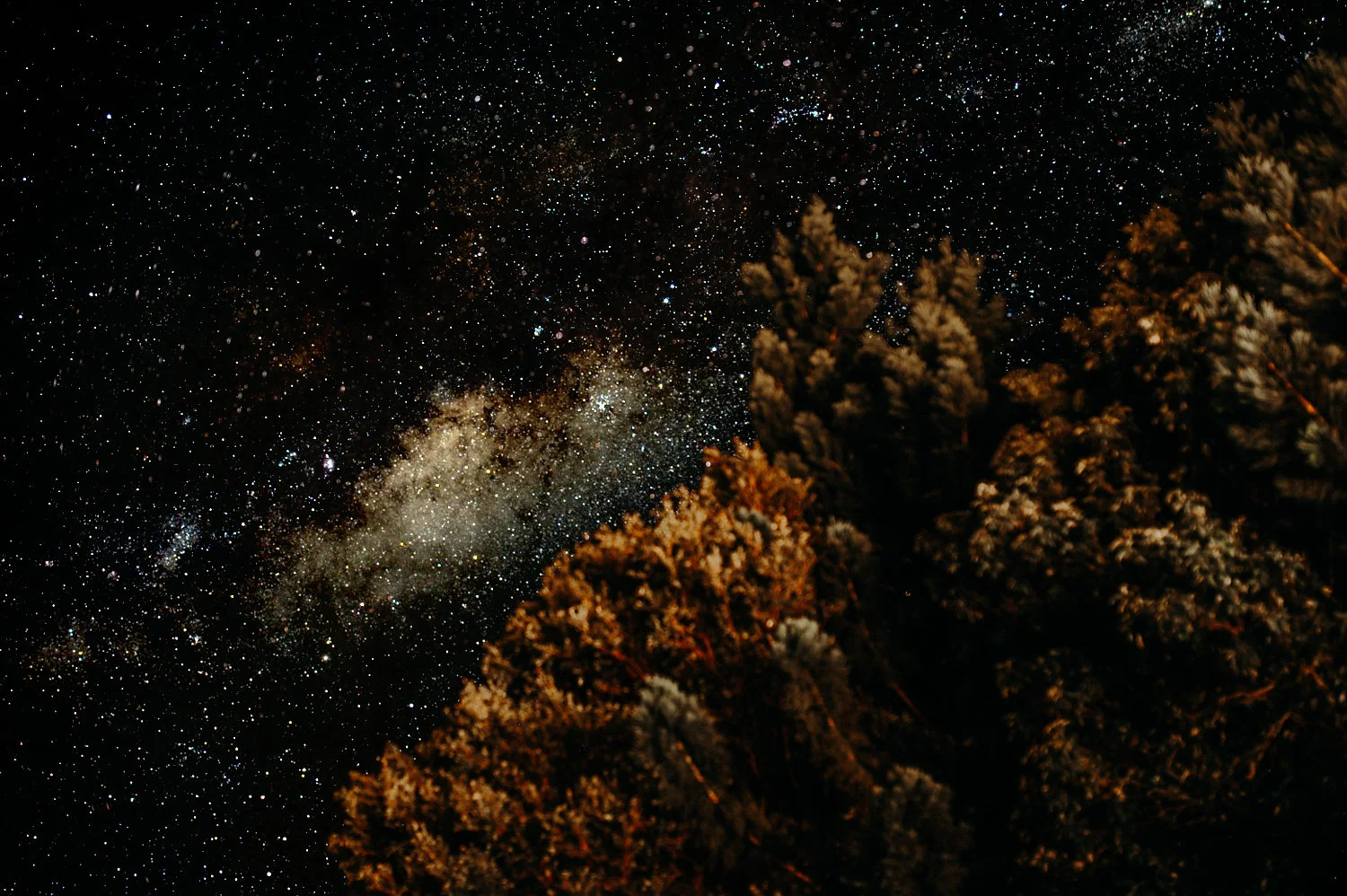 Sunshine+Coast-Marquee+Wedding-Mobile-Caravan-Bar-Service (16).jpg