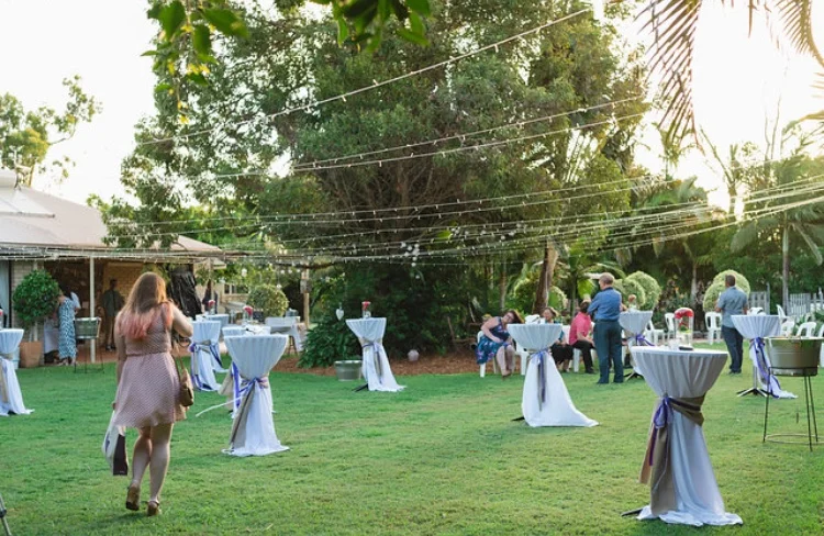 Fairylight Canopy.JPG