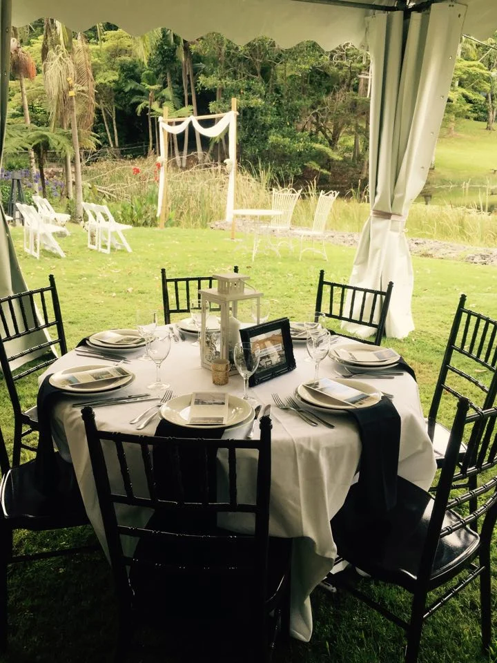 Brown tiffanys at round table.jpg