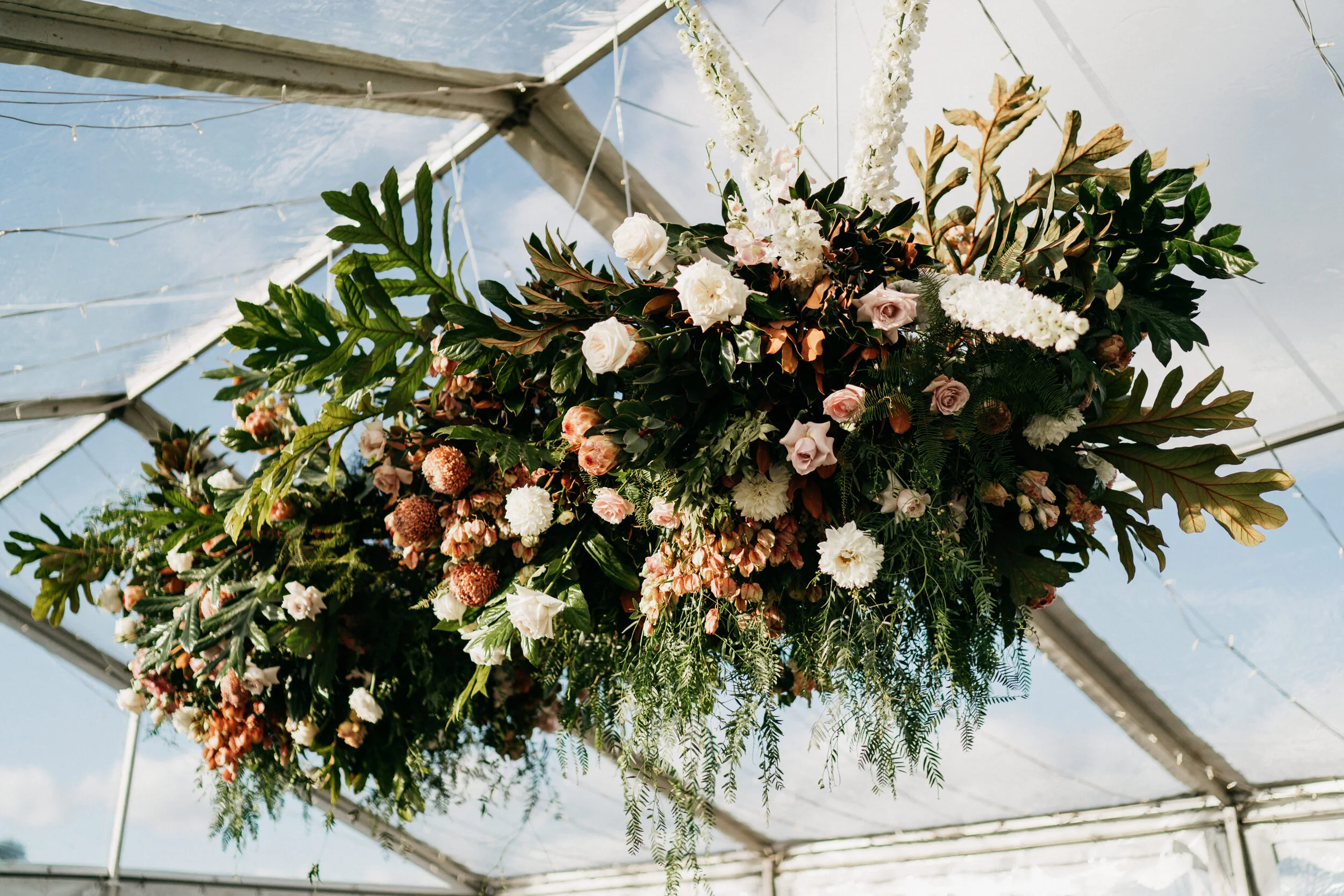 Luke Middlemiss Photography CB-20.jpg