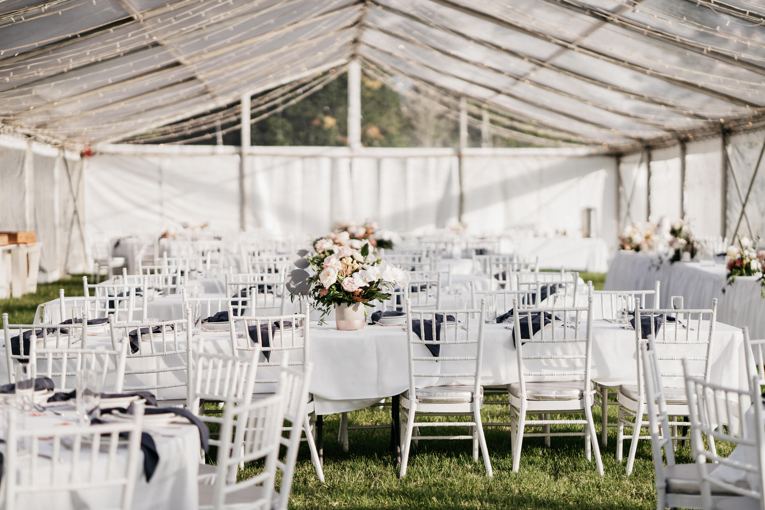 Luke Middlemiss Photography CB-197 (1).jpg