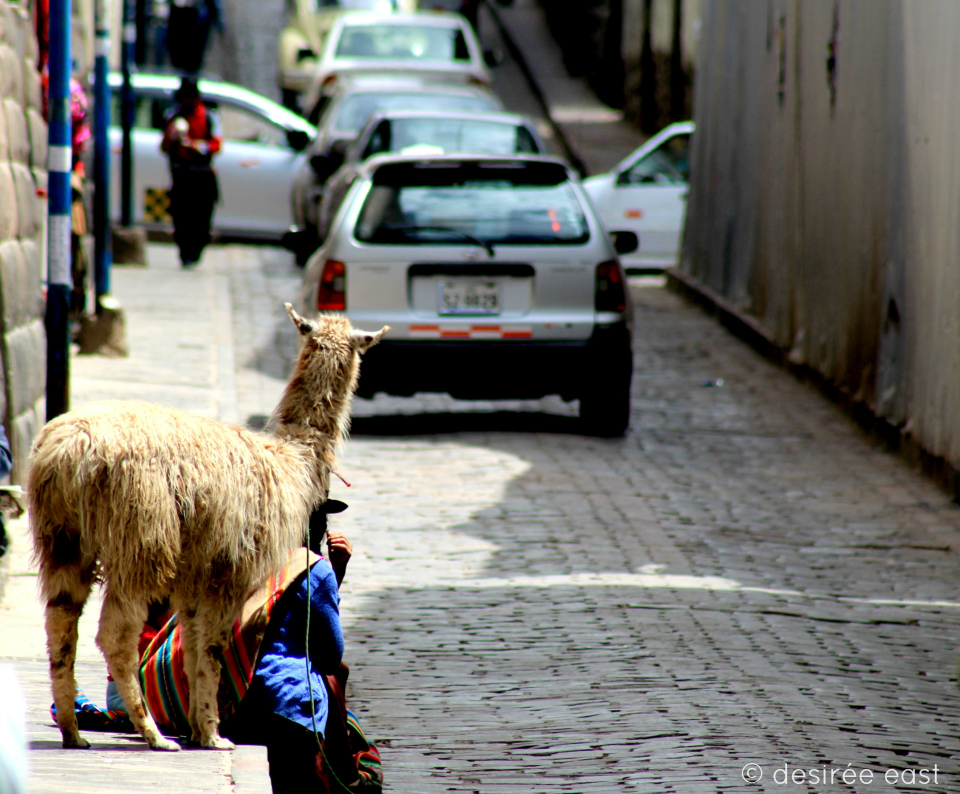 cuzco-peru-photography-by-desiree-east-1.jpg