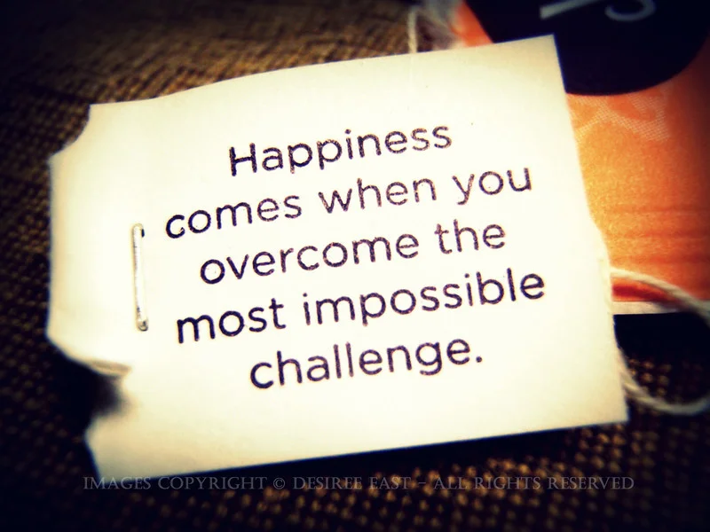 happiness-comes-by-desiree-east.jpg