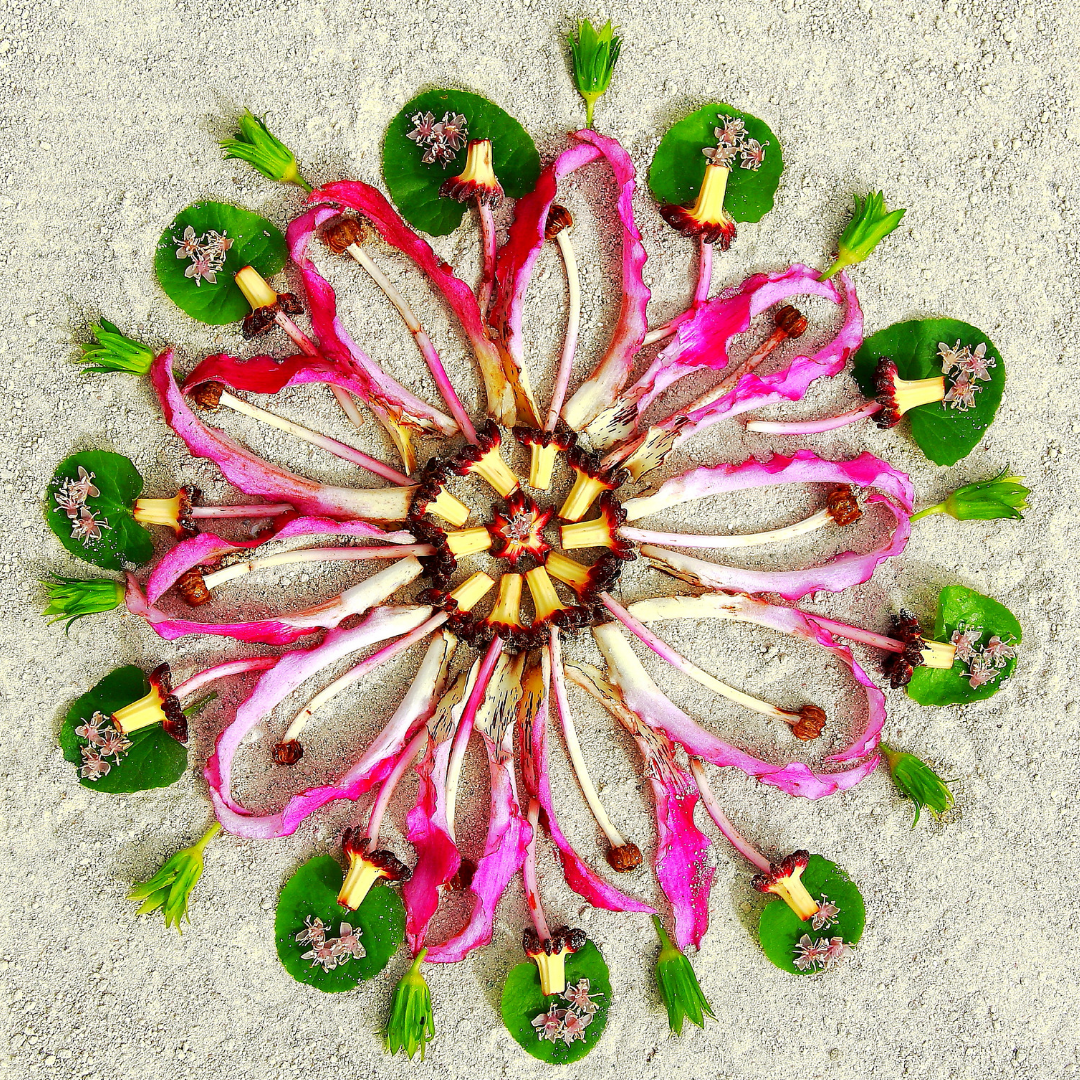 pink flower mandala.png