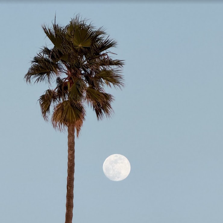 walking in beauty: a full moon reflection on gratitude, nature, and the beauty way
