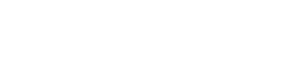 SN&Co - SaaS Startup Consulting