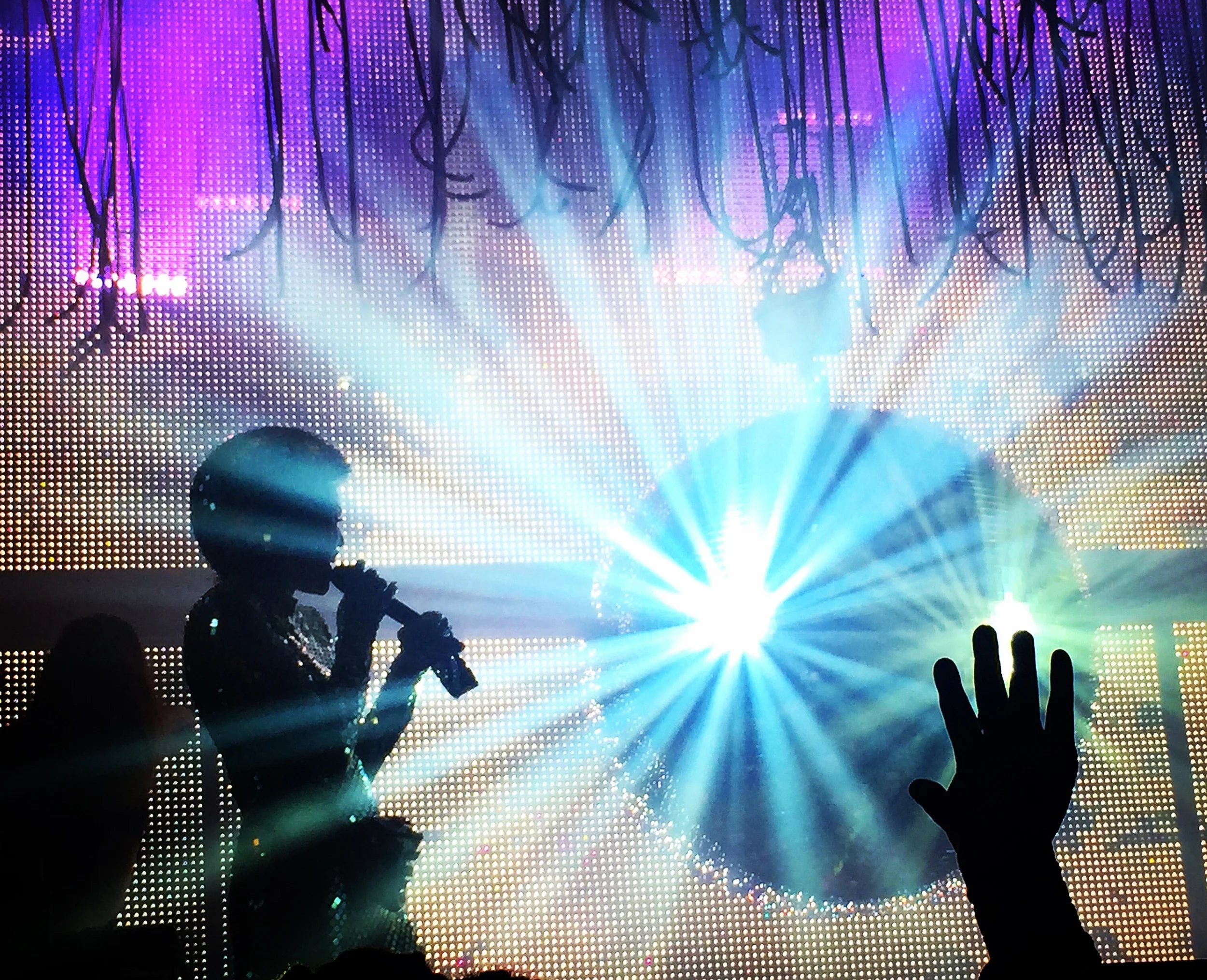 Miley Cyrus and her Dead Petz 11.28.15