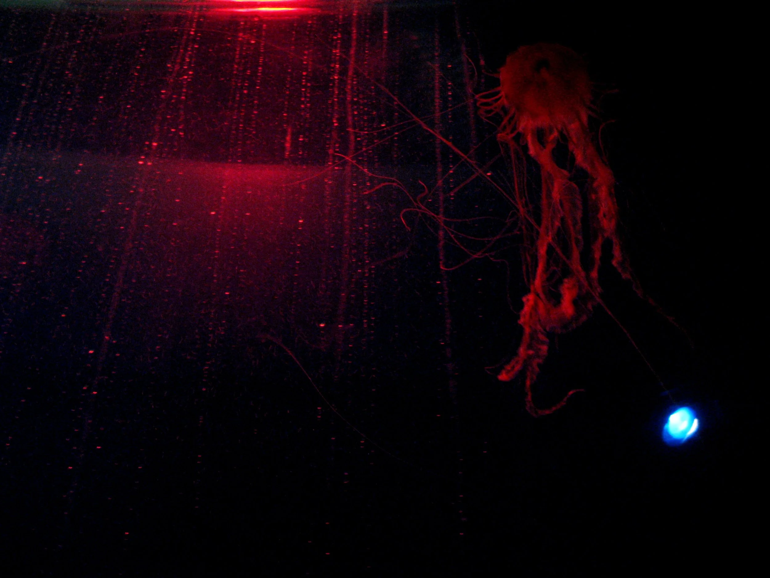Summer 09 229.JPG