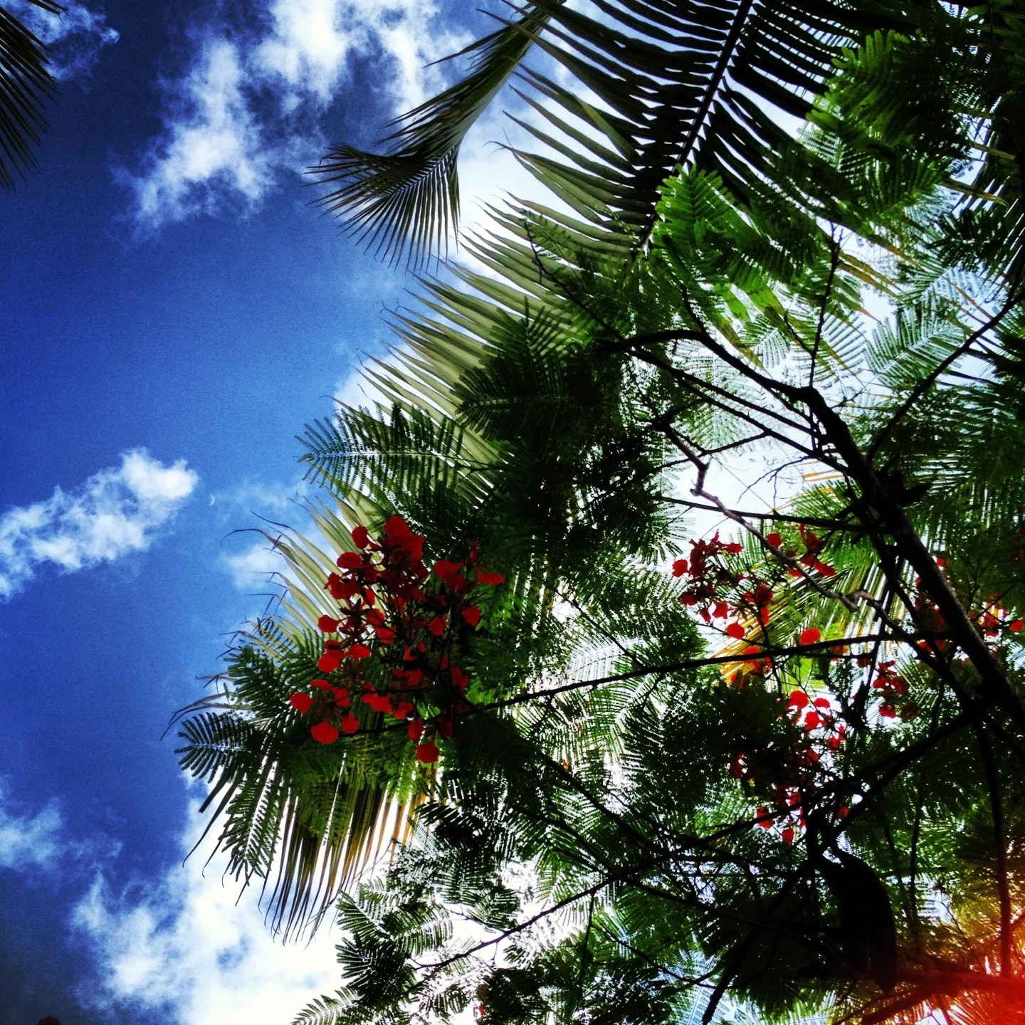 Summer 2012 689.JPG