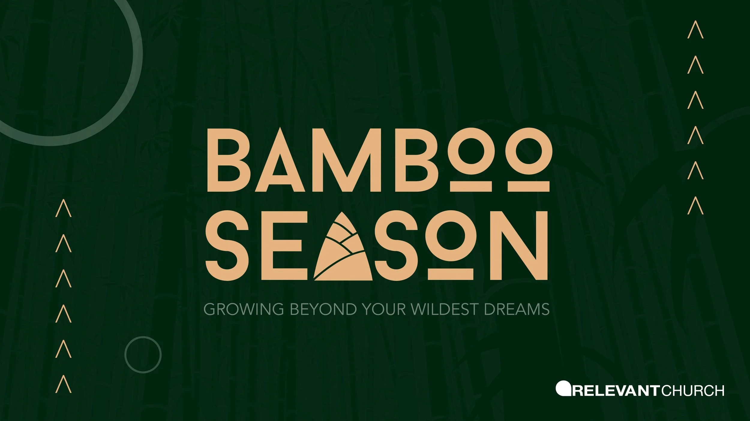 bamboo season 1920x1080.jpg