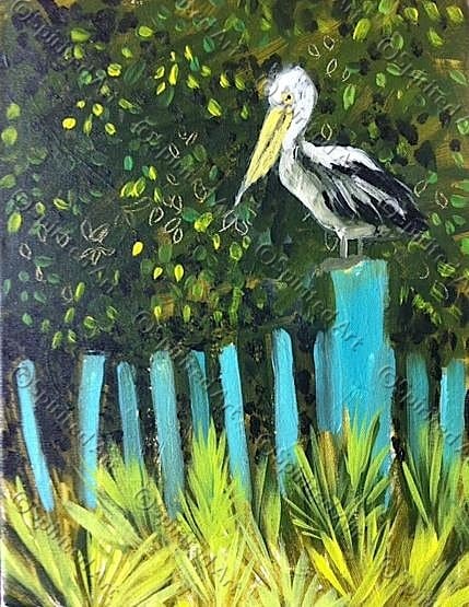 Pelican