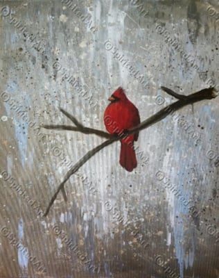 red-bird.jpg
