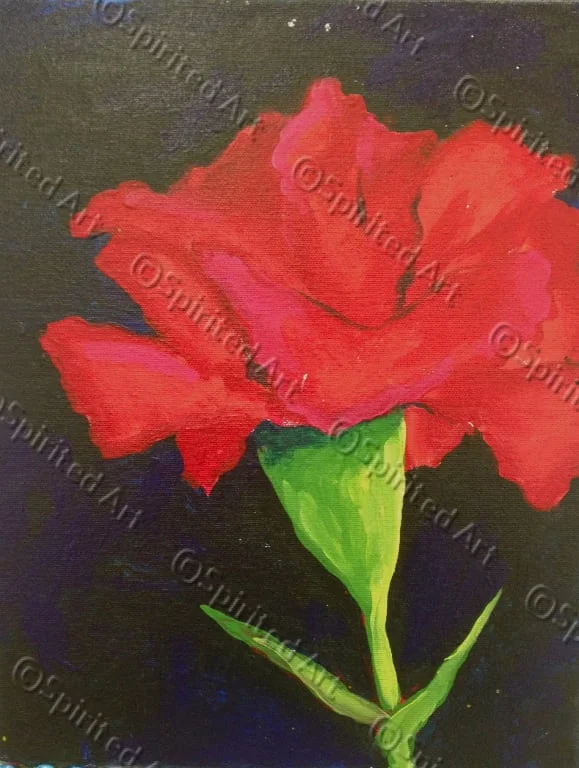 Carnation