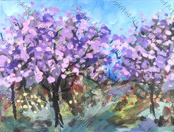 red-buds-in-bloom.jpg