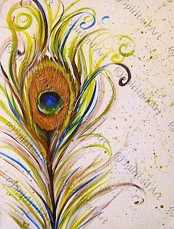 Peacock Feather