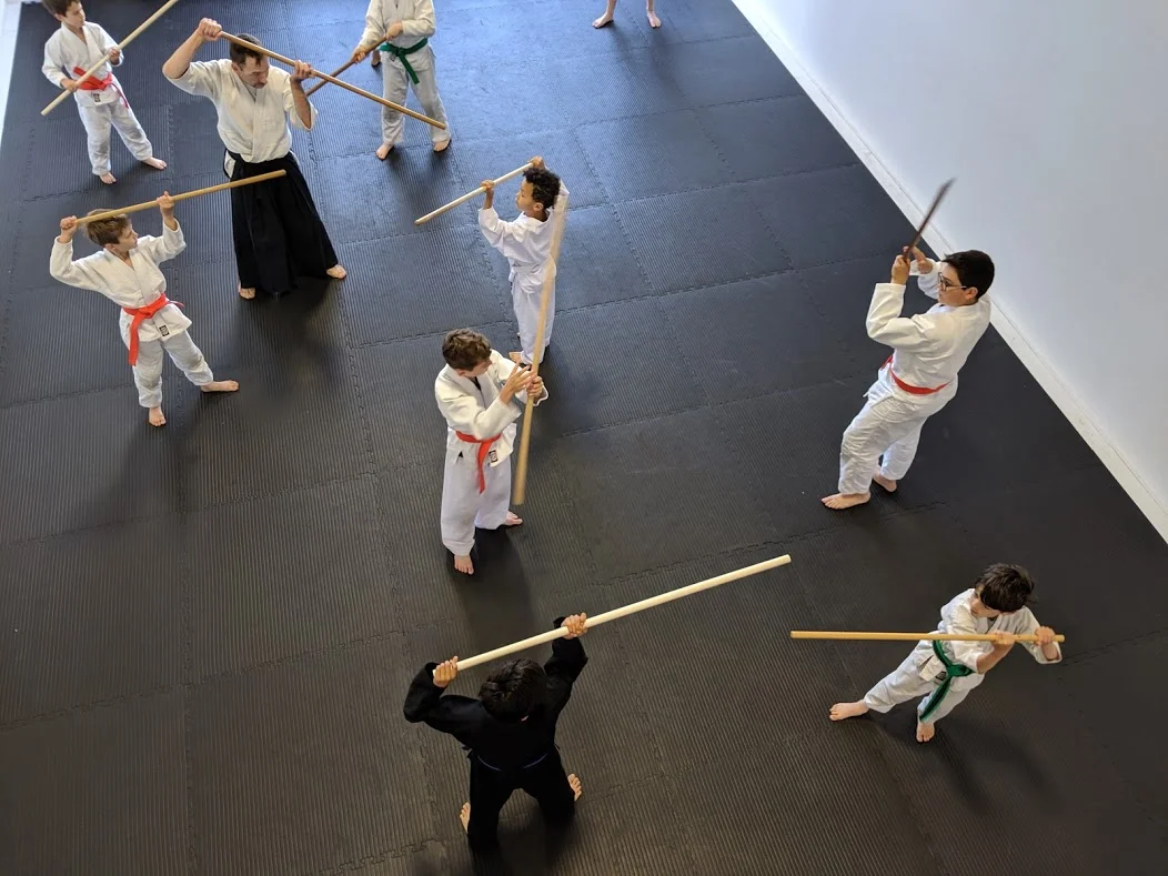 Jo Level 1 and testing for green belts and up