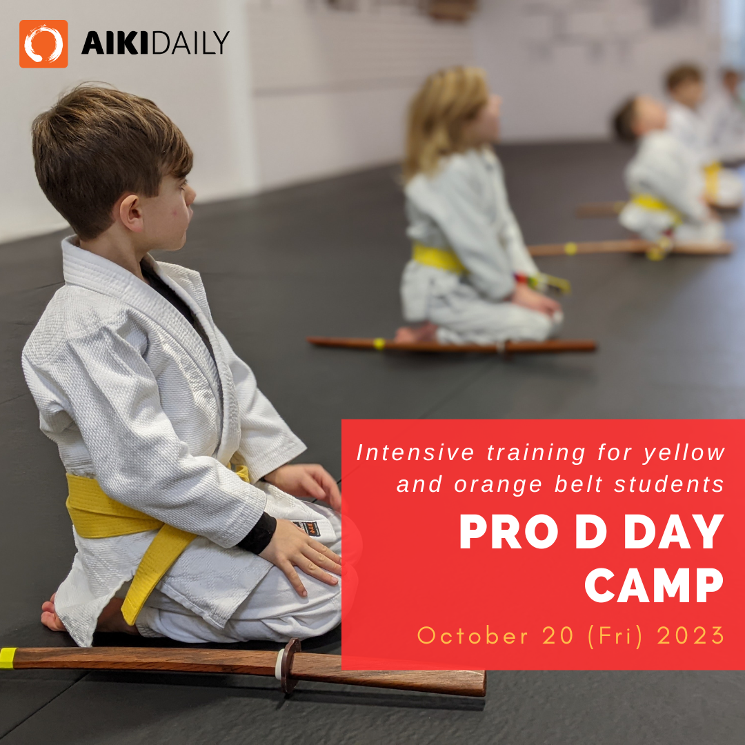 Pro D Day Yellow and Orange belt intensive