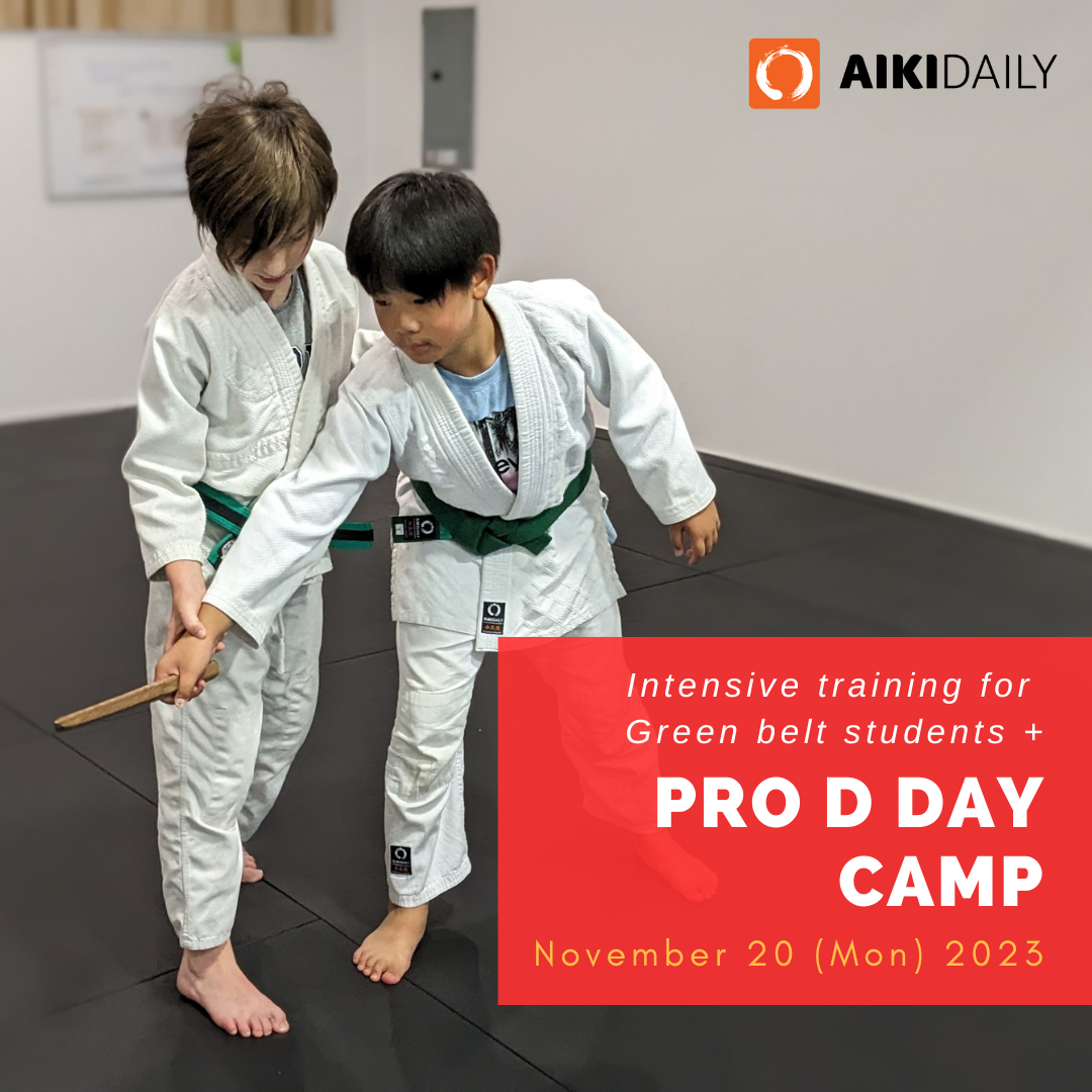 Pro D Day Camp