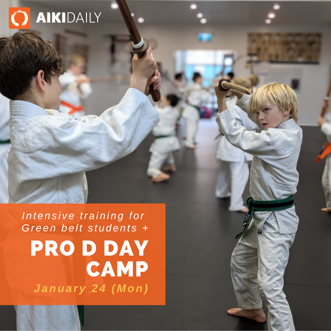 Pro D Day intensive training day