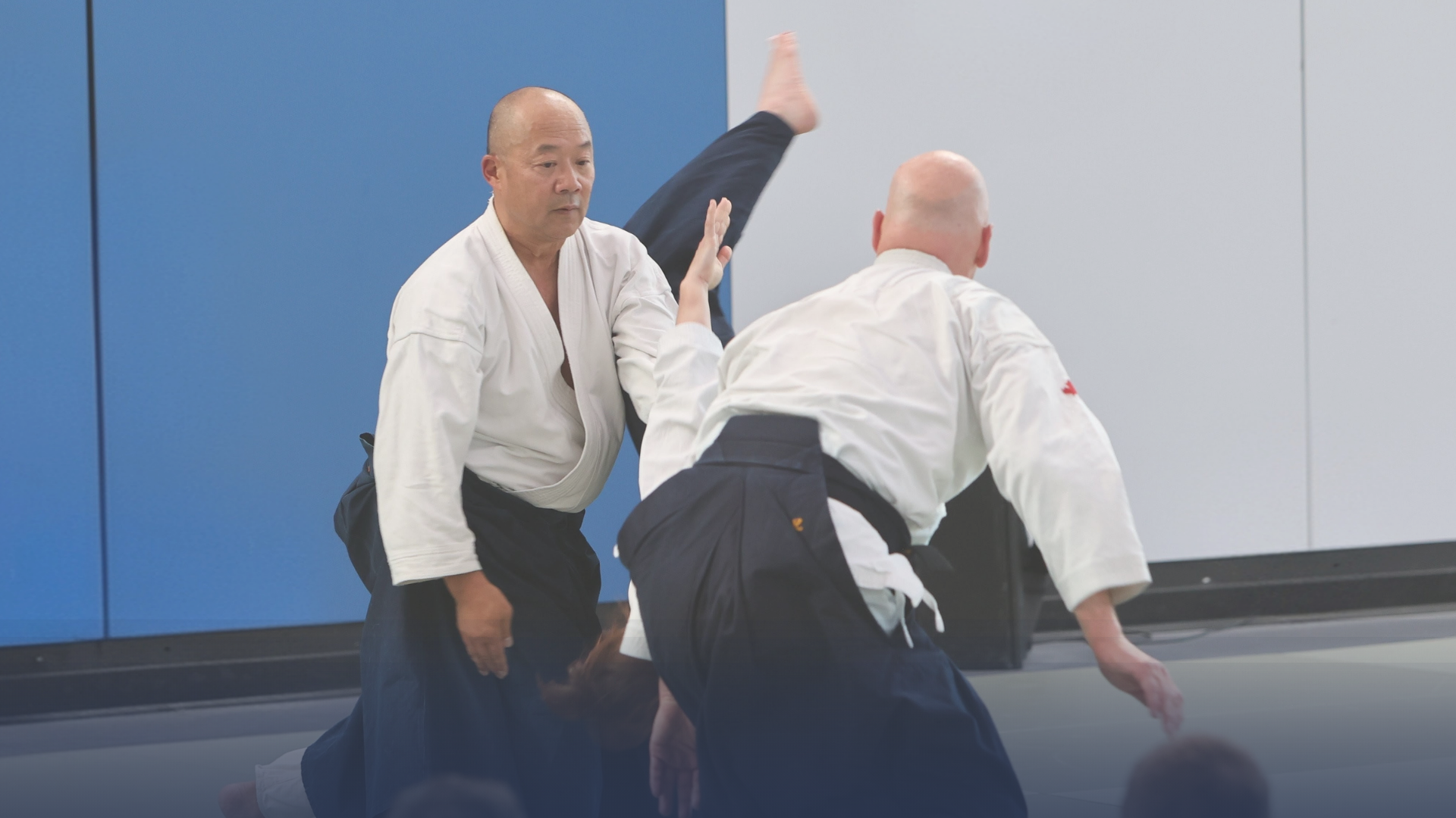 Alex Loo Shihan Seminar - Beyond Basics - — aikidaily