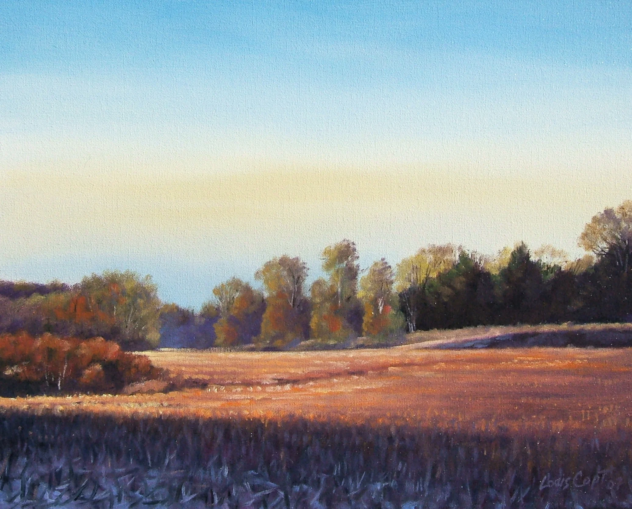 Morning Frost