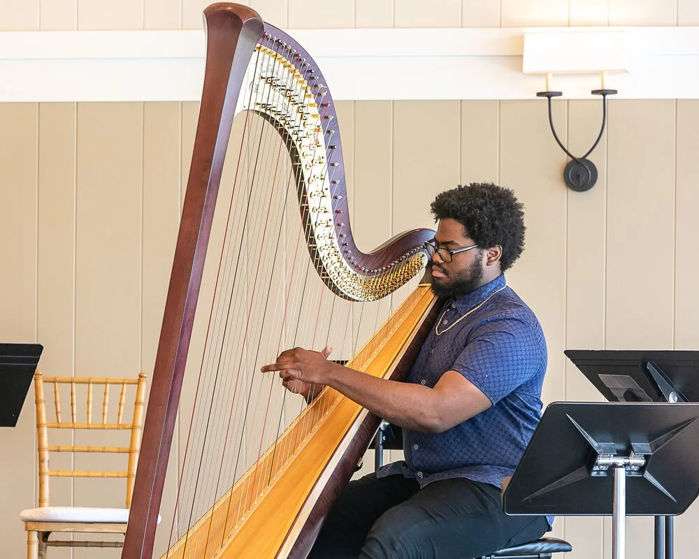 Harp and Violin Concert