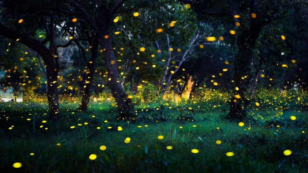 Illumination