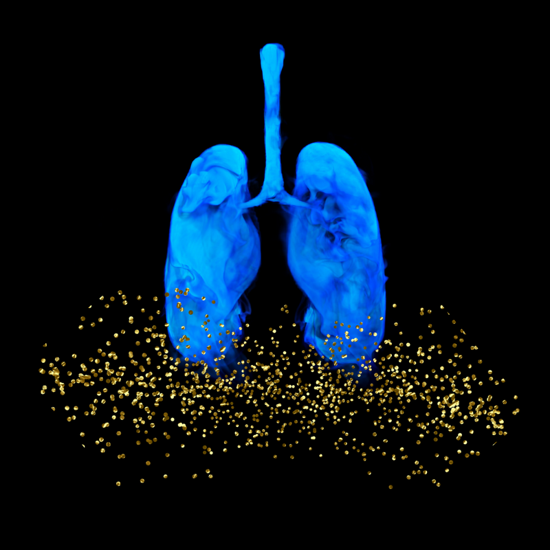 Copy of Copy of Organ Healing.png
