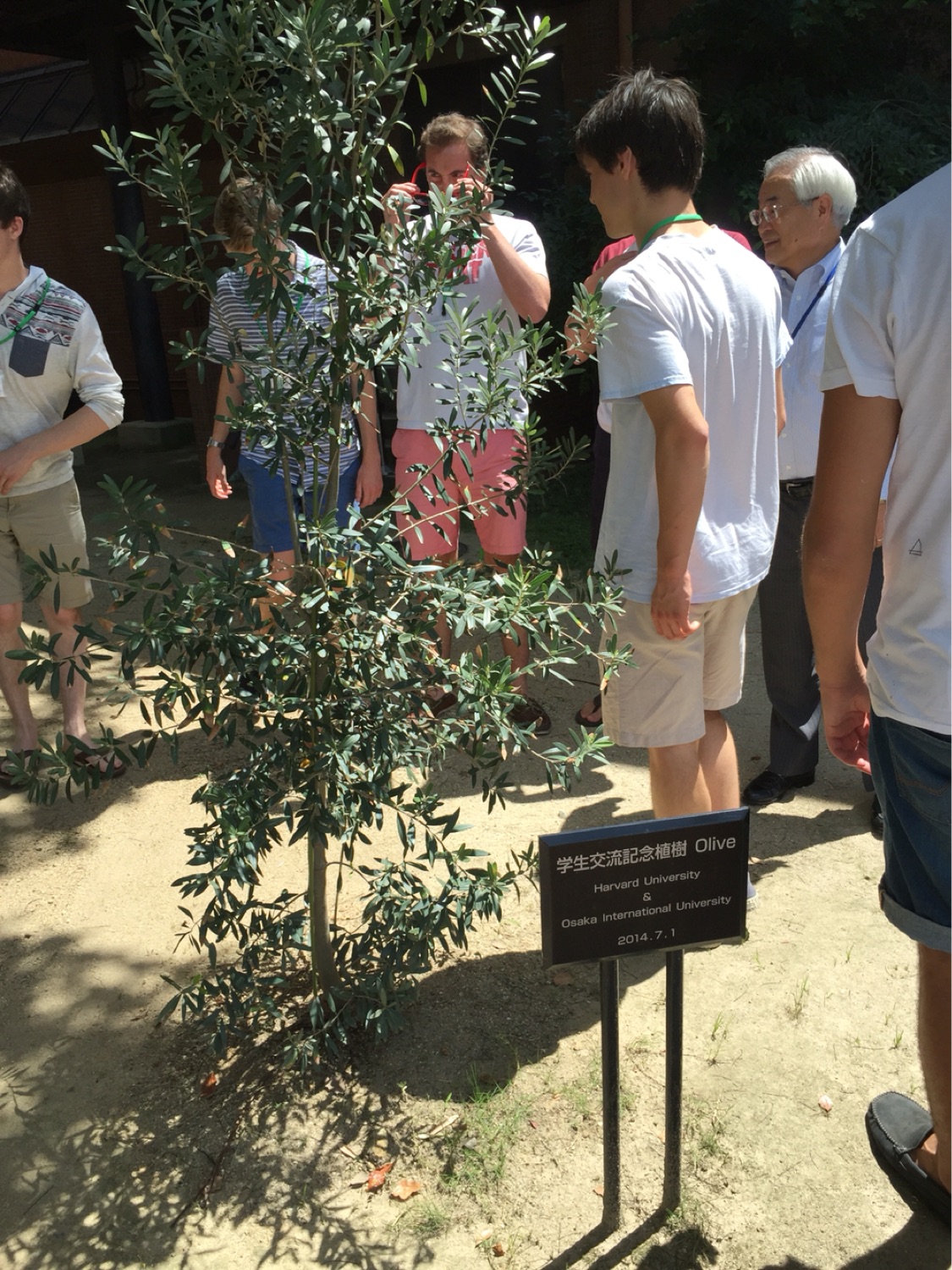 At Osaka International University, visiting a tree planted with the Dins on our last tour in 2014