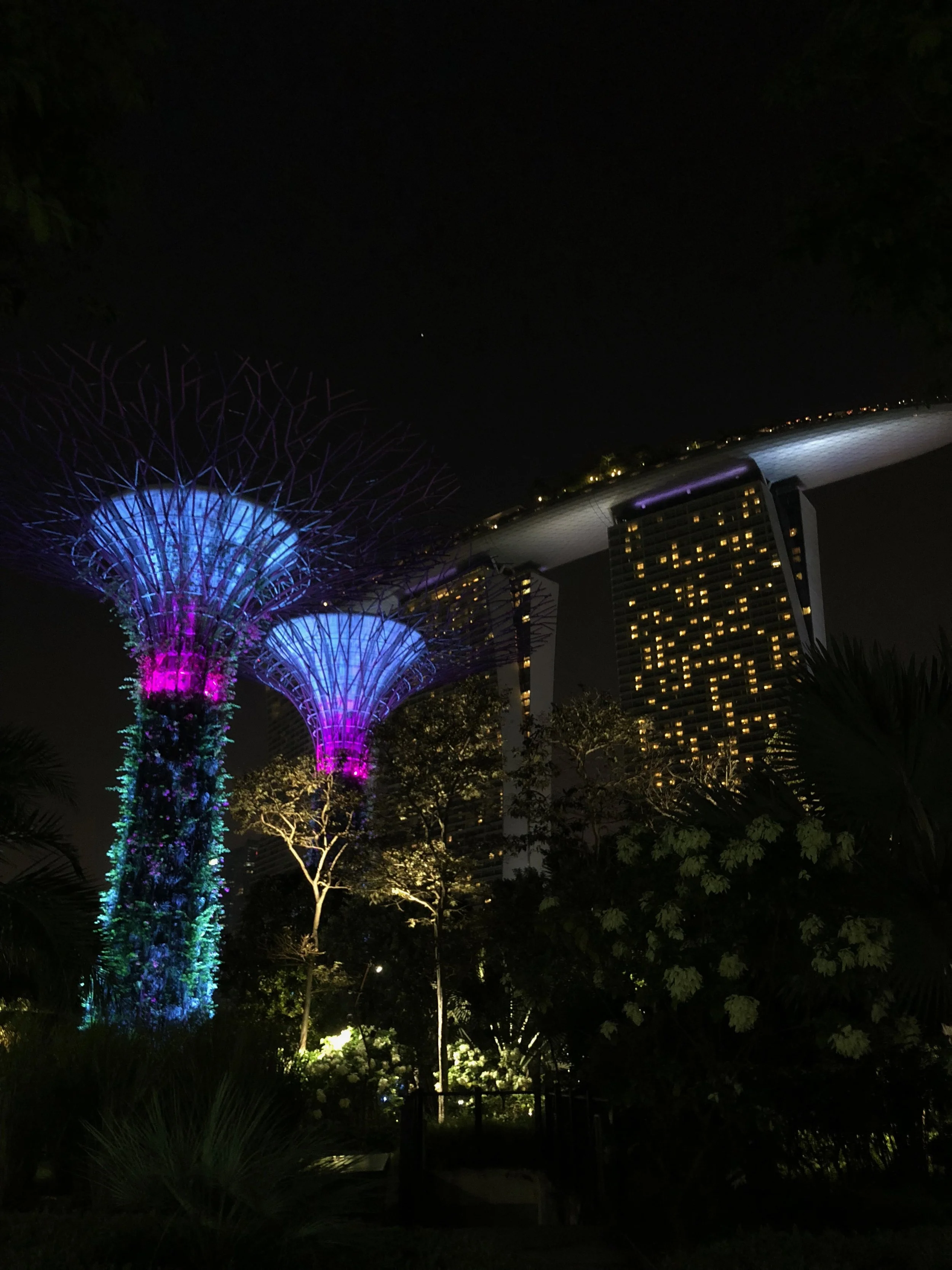The Super Trees and the famed Marina Bay Sands Hotel. Photo by Eli Troen #250