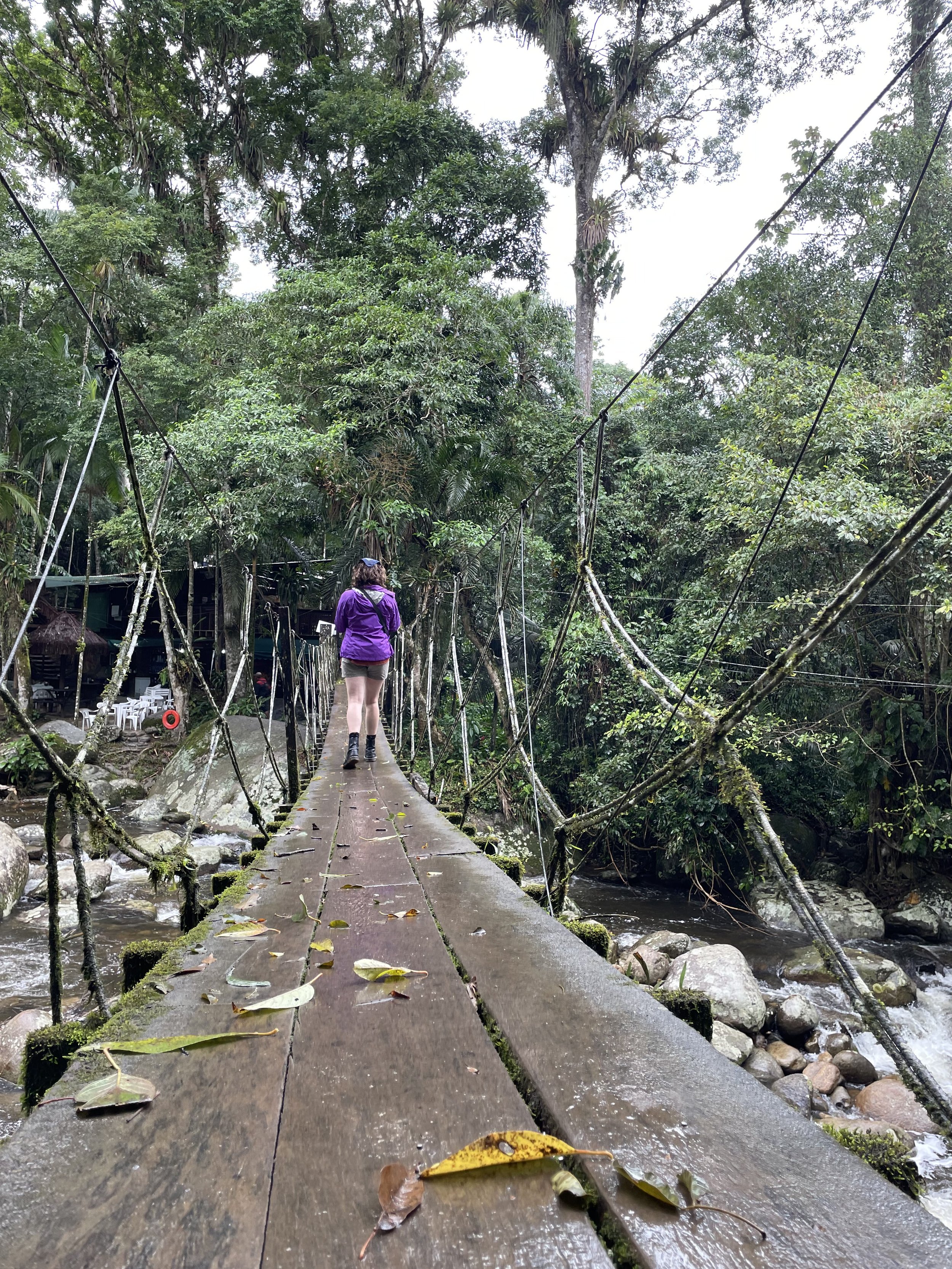  Crossing a suspended bridge to get to a restaurant in the rainforest 