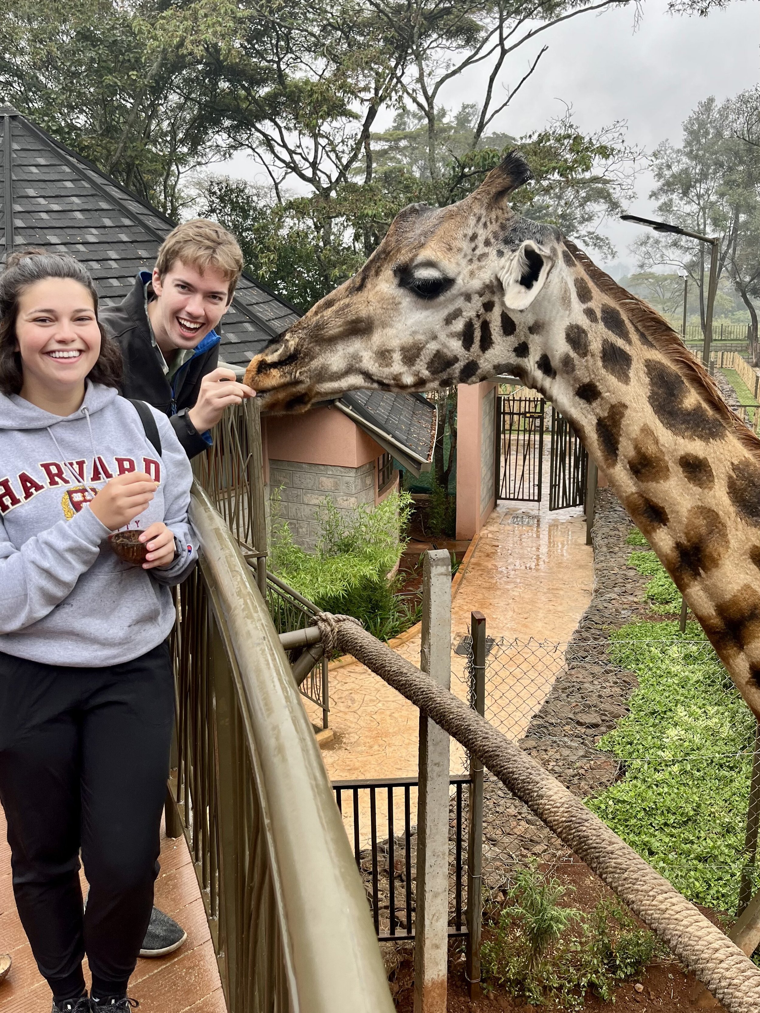 The Giraffe Center, Nairobi