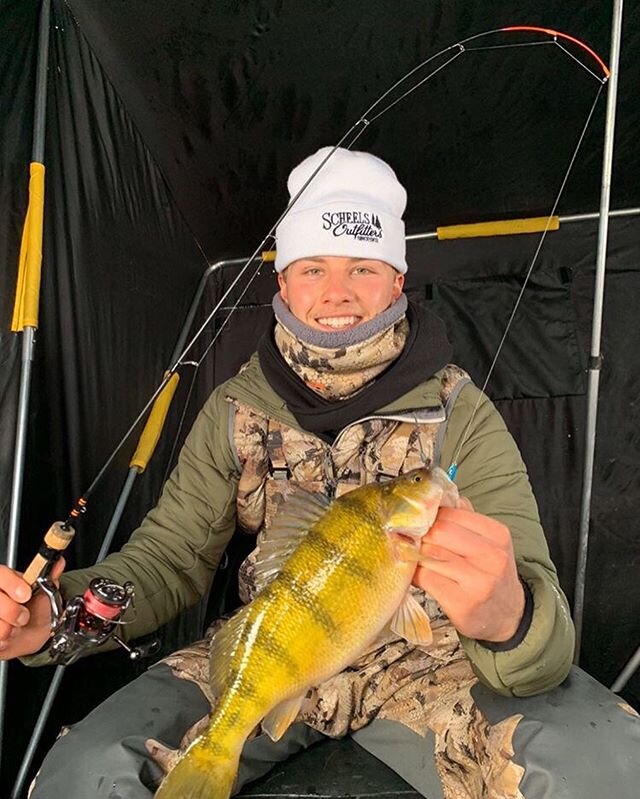 Check out these GIANT perch that @tanner_ouellette caught this week on his new 36&rdquo; Tip Dip!
. .
#DellaBay #TipDip #supportsmallbusiness